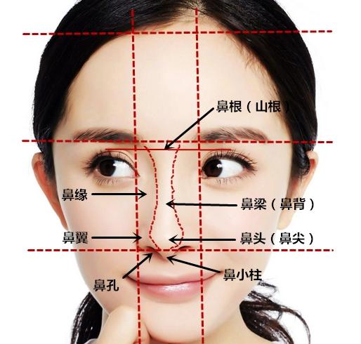 面相分析眉毛 面相分析眉毛
