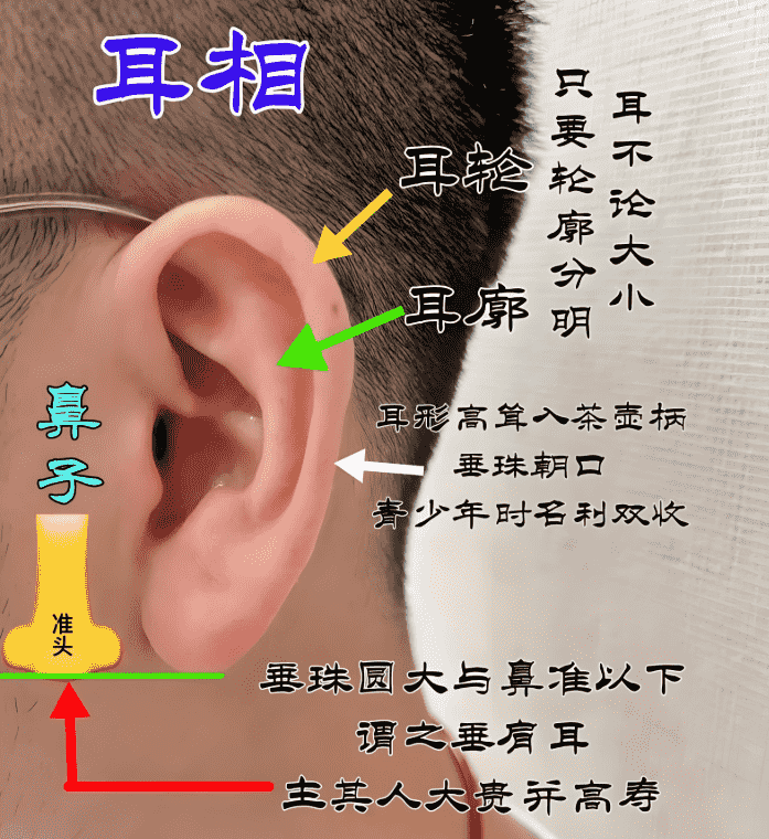 耳朵面相 耳朵面相