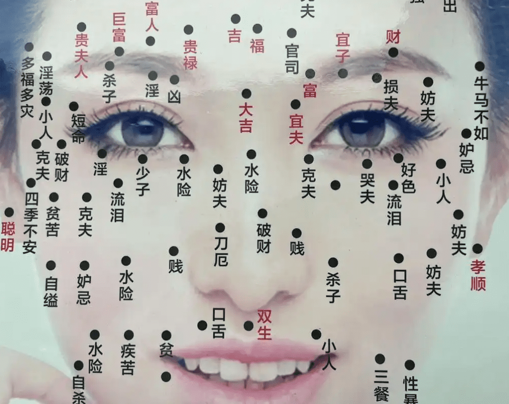 女人面相分析 女人面相分析