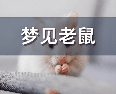 夢到老鼠跑來跑去 夢到老鼠跑來跑去